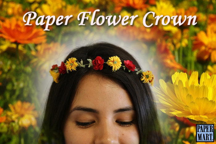 Paper Flower Crown