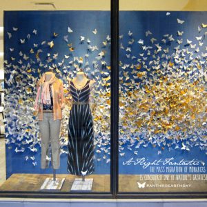 Butterfly window displays from Anthropologie